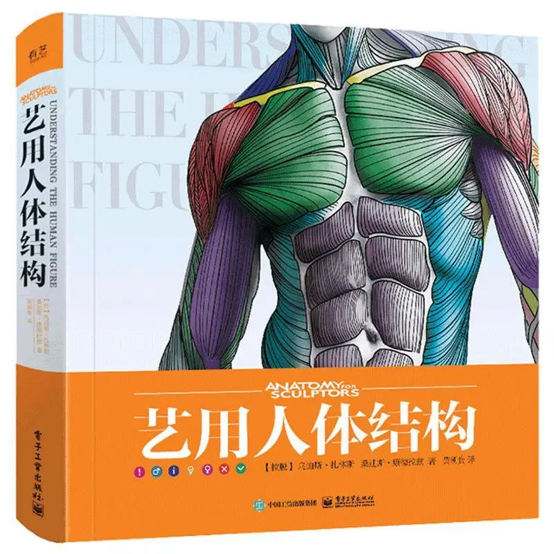 3D HD Книги по Искусству Человеческого Тела Скульптура Дизайн игрового персонажа Базовые Учебники По Рисованию Человеческой Формы Структура Скелетных мышц